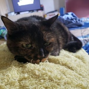 Meet your Posher, Andy